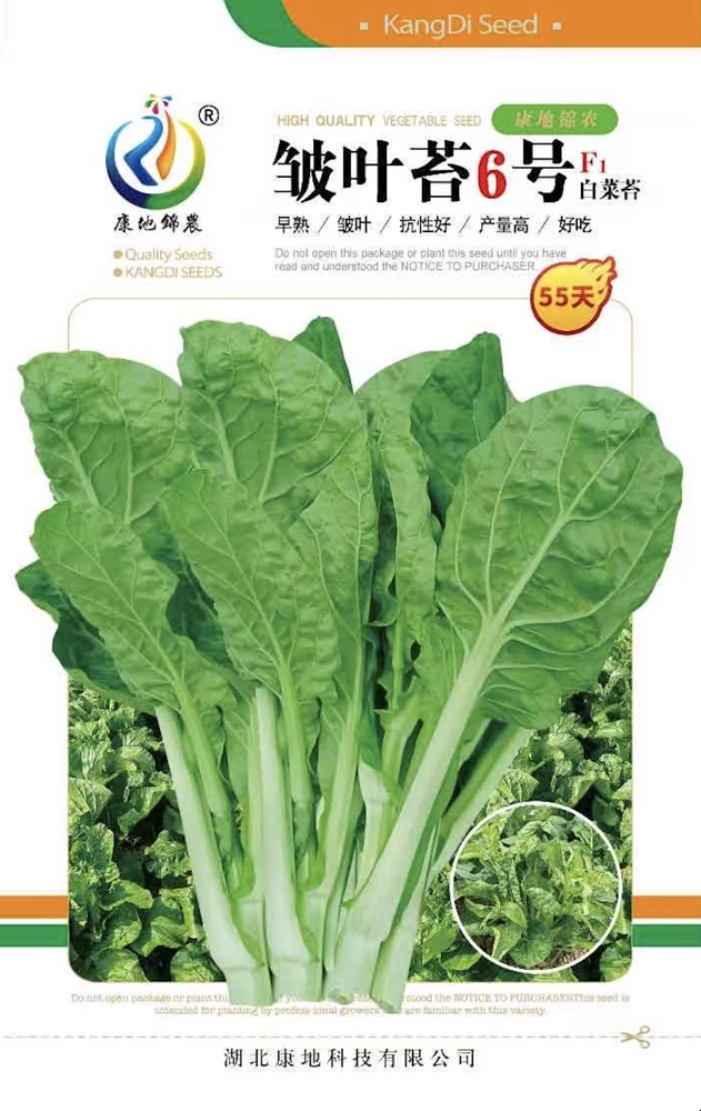 皺葉苔6號(hào)